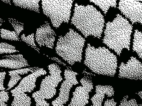 1b63300634f77bd9b7133f5039803c1323b2eefe kopiëren.jpg